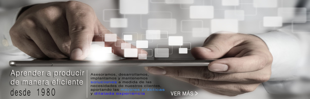 Soluciones Profesionales